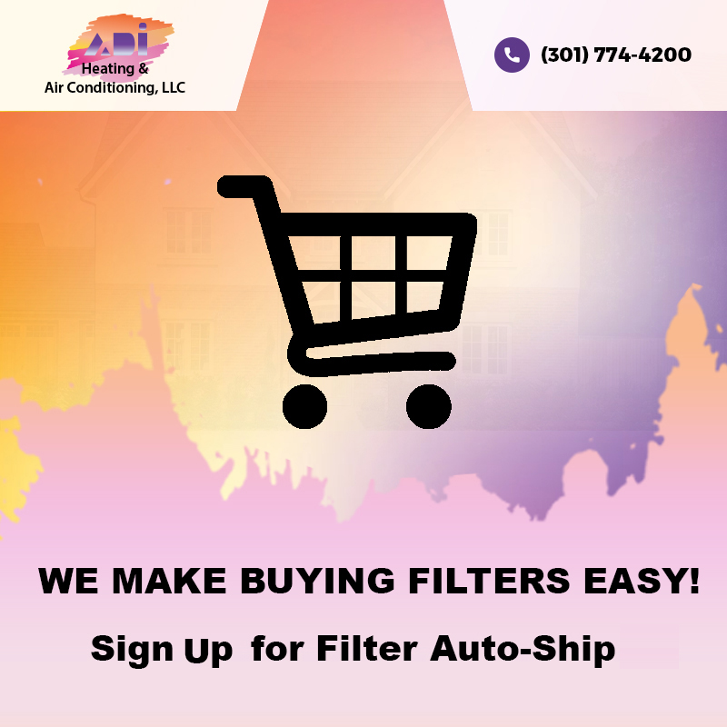 Filters Autoship